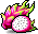 Dragon Fruit